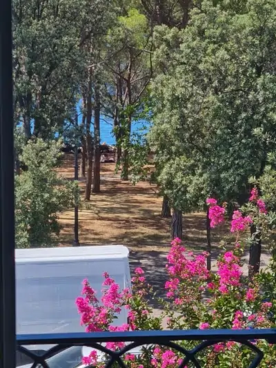 Medium apartment view from the balcony of the sea of Trieste in Barcola 